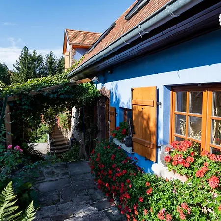 Chez Maidi-balneo, Cheminee, Proche Vosges Du Nord *