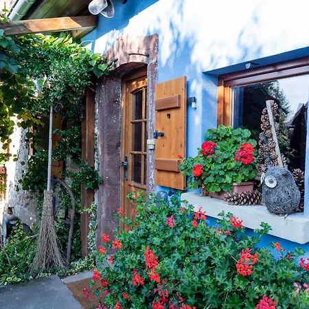 Chez Maidi-balneo, Cheminee, Proche Vosges Du Nord *