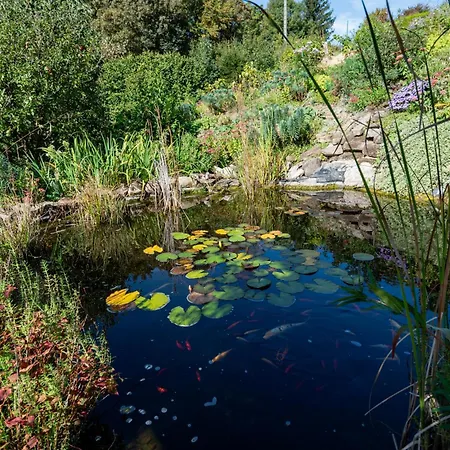 Chez Maidi-balneo, Cheminee, Proche Vosges Du Nord *