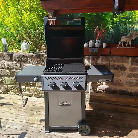 Chez Maidi-balneo, Cheminee, Proche Vosges Du Nord * Schoenbourg