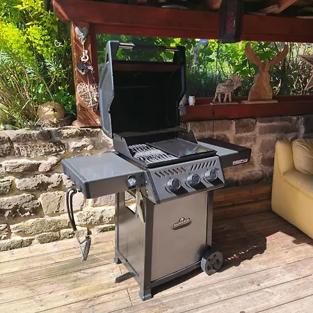 Vakantiehuis Chez Maidi-balneo, Cheminee, Proche Vosges Du Nord