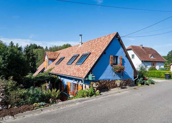 Chez Maidi-balneo, Cheminee, Proche Vosges Du Nord *