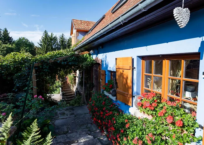 Chez Maidi-balneo, Cheminee, Proche Vosges Du Nord *