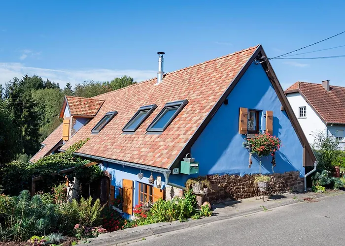 Chez Maidi-balneo, Cheminee, Proche Vosges Du Nord