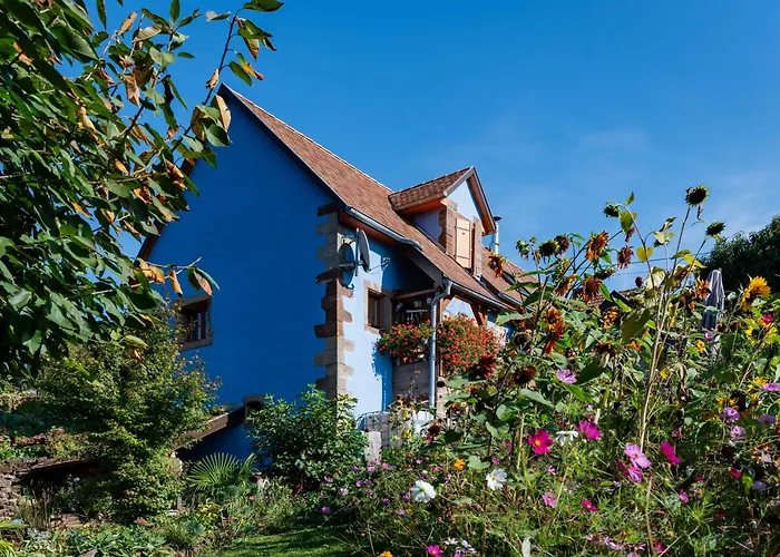 Chez Maidi-balneo, Cheminee, Proche Vosges Du Nord *
